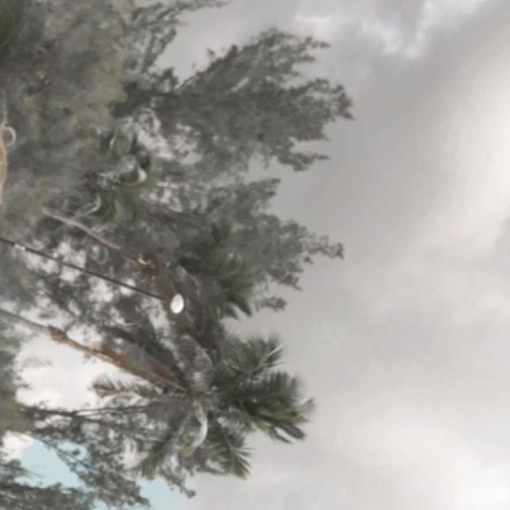 Meet your Posher, Makenzy